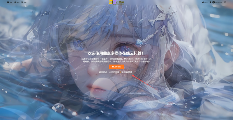 Chevereto首页增加统计信息教程-鼎点&Blog